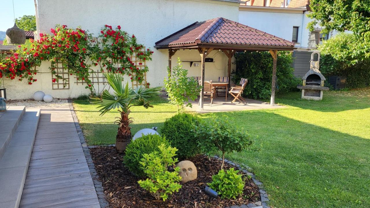 Apartments Am Saalebogen Mit Gartenterrasse, Grillkamin, Freie Parkplaetze Rudolstadt Zewnętrze zdjęcie