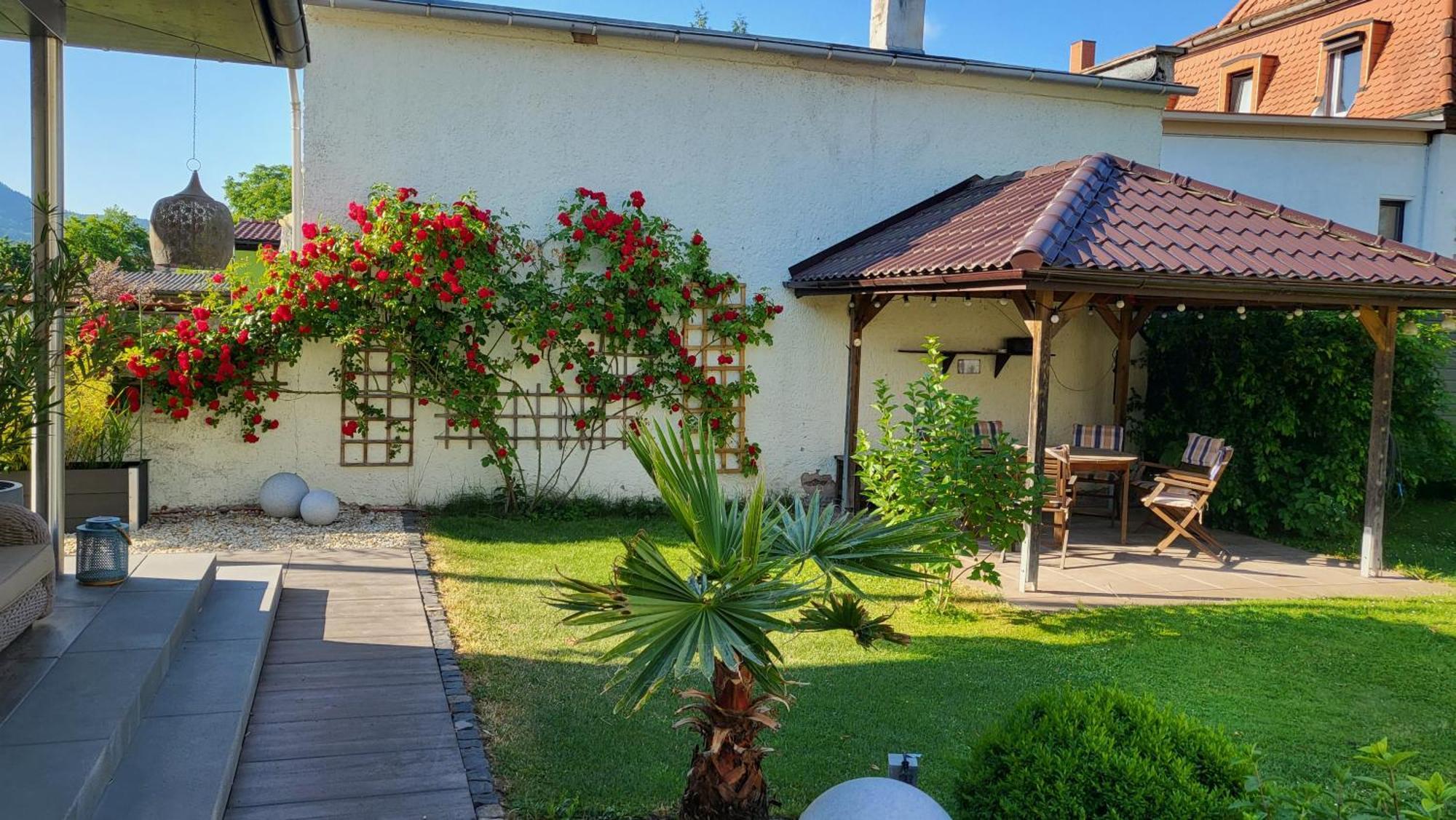 Apartments Am Saalebogen Mit Gartenterrasse, Grillkamin, Freie Parkplaetze Rudolstadt Zewnętrze zdjęcie