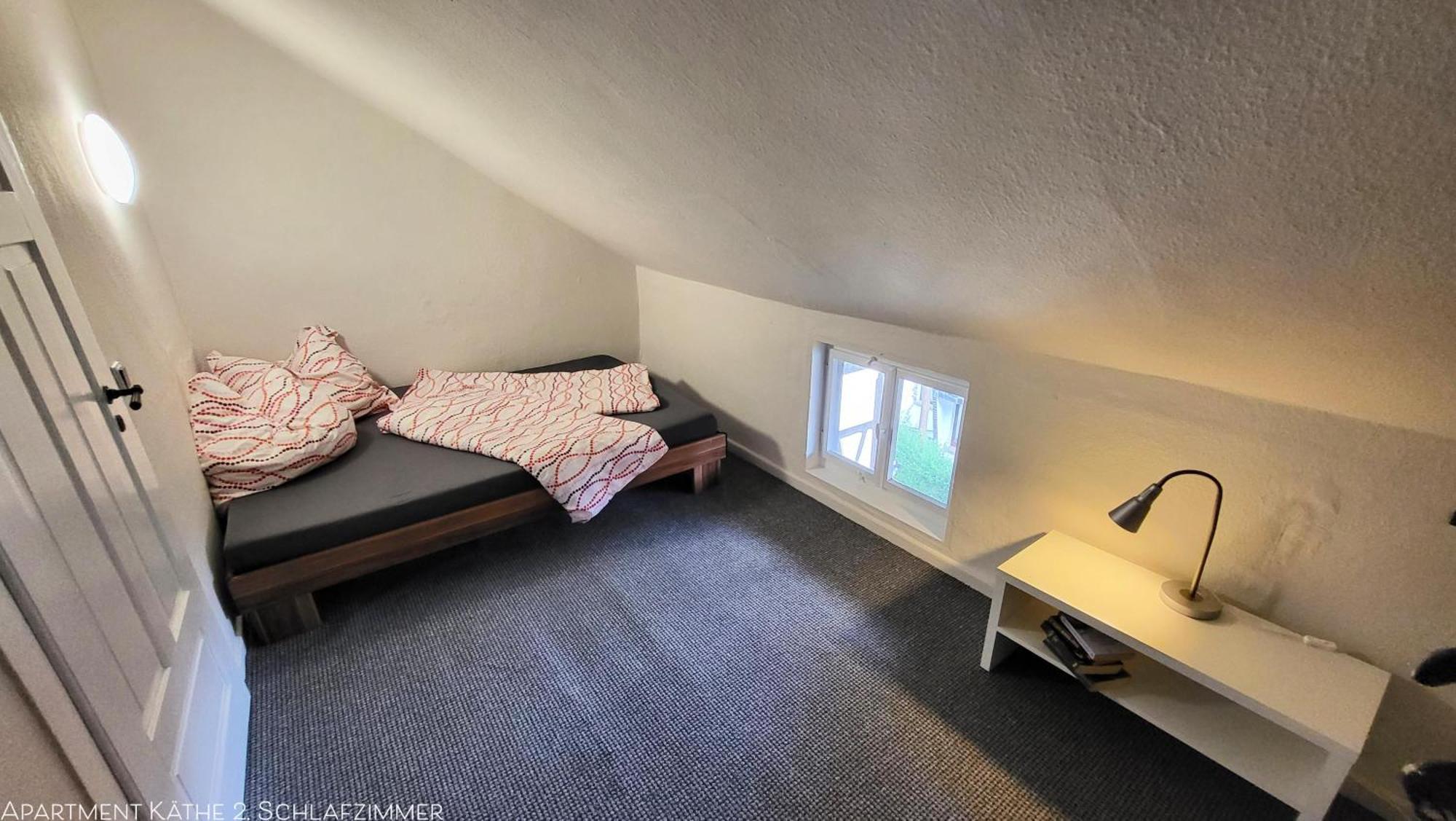 Apartments Am Saalebogen Mit Gartenterrasse, Grillkamin, Freie Parkplaetze Rudolstadt Zewnętrze zdjęcie